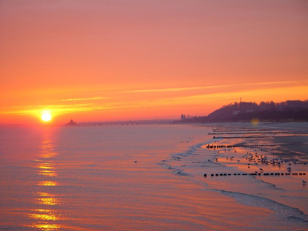 Hotel Bio-hotel Gutshof Insel Usedom 3*