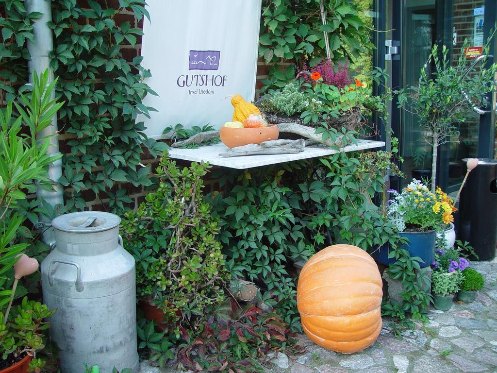 Bio-hotel Gutshof Insel Usedom Hotel